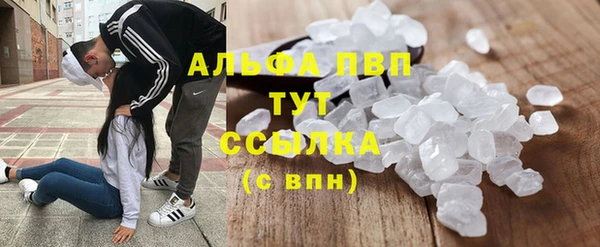 СК Вязники